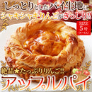 アップルパイ リンゴパイ りんご 林檎 ケーキ ホール 5号 国産りんご ソフトアップルパイ パイ生地 美味しい 濃厚 食べ応え 誕生日 記念日 【納期E】【sm00010089】