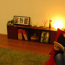 カラーボックス 棚 収納棚 横置き 横向き A4 サイズ 収納可能 隙間収納 すき間 本棚 収納ボックス オープンラック 目隠し 扉 戸 ドア シンプル 木目柄 スリム 白 【納期A】【a4-t5d】