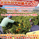 冷凍みかん 冷凍 みかん 蜜柑 ミカン 愛媛県 西宇和産 甘い 美味しい おいしい おやつ デザート 夏 大容量 小分け 皮付き 流水解凍 自然 【納期区分：E】【nk00000125】