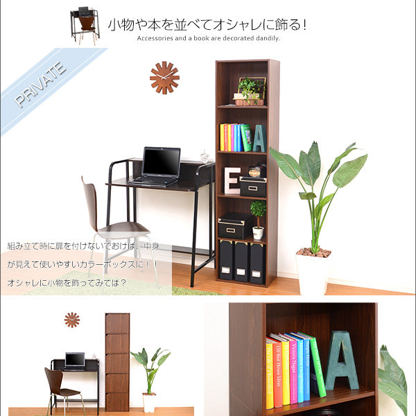 カラーボックス 棚 収納棚 横置き 横向き A4 サイズ 収納可能 隙間収納 すき間 本棚 収納ボックス オープンラック 目隠し 扉 戸 ドア シンプル 木目柄 スリム 白 【納期A】【a4-t5d】