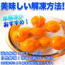 冷凍みかん 冷凍 みかん 蜜柑 ミカン 愛媛県 西宇和産 甘い 美味しい おいしい おやつ デザート 夏 大容量 小分け 皮付き 流水解凍 自然 【納期区分：E】【nk00000125】