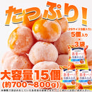 冷凍みかん 冷凍 みかん 蜜柑 ミカン 愛媛県 西宇和産 甘い 美味しい おいしい おやつ デザート 夏 大容量 小分け 皮付き 流水解凍 自然 【納期区分：E】【nk00000125】