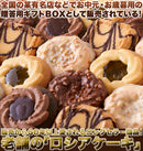 ロシアケーキ 36枚 洋菓子 おやつ 焼き菓子 クッキー ロシアン 詰め合わせ 個包装 小分け チョコレート ホワイト キャラメル 美味しい 【納期E】【sm00010012】