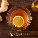 はちみつ紅茶 蜂蜜紅茶 ハチミツ 生姜 ジンジャー 紅茶 ハーバルブレンドティー 人工甘味料不使用 ティーバッグ パック ハニーティー お茶 【納期E】【sm00010820】