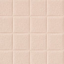 お風呂 床 リフォーム DIY 床タイル 床シート 浴室 簡単 リノベ 東リ バスナ フローレ 風呂場 床マット 施工 自分で 防カビ 浴場 ユニットバス バスナフローレ 【納期B】【lic-tol-btn-0001】