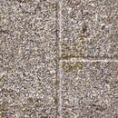 バスナ 東リ 浴室床シート 床材 リフォーム DIY マット お風呂場 風呂用 バスルーム 浴室 洗い場 クッションフロア 床タイル 張り替え お試し サンプル 色見本 【納期B】【lic-tol-btn-sample】