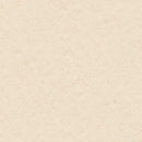 クッションフロア ペット 滑らない 犬 猫 ネコ 土足可 東リ CFシート P NW 石目 テラコッタ 大理石 石畳 タイル柄 コンクリート クッションフロアーシート 黒 白 【納期B】【lic-tol-cf-0097】