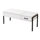 リフティングテーブル サイドテーブル センターテーブル リビングテーブル ローテーブル 引き出し 収納スペース 木目 カフェ風 おしゃれ 北欧 ナチュラル 【納期A】【jpk-kks-0025】