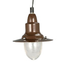 ペンダントランプ ペンダントライト 吊り下げ照明 アンティーク レトロ おしゃれ 天井 【納期C】【lic-dlt-100-093】