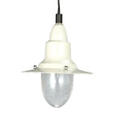 ペンダントランプ ペンダントライト 吊り下げ照明 アンティーク レトロ おしゃれ 天井 【納期C】【lic-dlt-100-093】