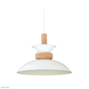 ペンダントライト 北欧 おしゃれ 照明 天井 吊り下げ ペンダントランプ シンプル ナチュラル カントリー モダン 白 ホワイト 緑 グリーン グレージュ LED対応 【納期B】【lic-elx-260】