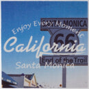 タイルカーペット おしゃれ 50×50cm 置き敷き 滑り止め 吸着 デザイン 西海岸 アウトドア 木目 ウッド 芝生 サーフ系 【納期C】【lic-kku-075】