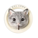 ウォールフック 猫 ネコ 犬 イヌ おしゃれ 止め金具 壁面 かわいい 屋外 屋内 庭 ガーデニング 玄関 インテリア リビング ハチワレ トイプードル チワワ 柴犬 【納期B】【lic-ksm-0048】