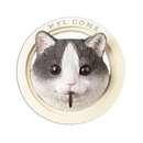 ウォールフック 猫 ネコ 犬 イヌ おしゃれ 止め金具 壁面 かわいい 屋外 屋内 庭 ガーデニング 玄関 インテリア リビング ハチワレ トイプードル チワワ 柴犬 【納期B】【lic-ksm-0048】