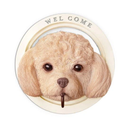 ウォールフック 猫 ネコ 犬 イヌ おしゃれ 止め金具 壁面 かわいい 屋外 屋内 庭 ガーデニング 玄関 インテリア リビング ハチワレ トイプードル チワワ 柴犬 【納期B】【lic-ksm-0048】