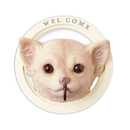 ウォールフック 猫 ネコ 犬 イヌ おしゃれ 止め金具 壁面 かわいい 屋外 屋内 庭 ガーデニング 玄関 インテリア リビング ハチワレ トイプードル チワワ 柴犬 【納期B】【lic-ksm-0048】