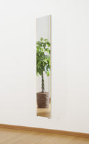 鏡 壁掛け 全身 おしゃれ 金具 軽い 軽量 割れない 全身鏡 姿見 ミラー 安全 きれいに映る 写る スリム 細い 細型 日本製 国産 フィルム リフェクスミラー REFEX 【納期E】【lic-refex-040】