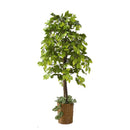 観葉植物 造花 フェイクグリーン 大型 造木 インテリアグリーン おしゃれ ベンジャミン ブーゲンビリア 観音竹 和風 室内 オフィス 職場 店舗 玄関 人工 リアル 【納期D】【lic-tan-609】