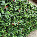 グリーンカーテン フェイク 庭 植物 グリーンフェンス 緑のカーテン 偽物 リアル 目隠し 屋外 フェンス 玄関 ガーデニング 境界 仕切り 【納期D】【lic-tan-747】