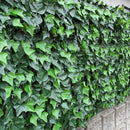 グリーンカーテン フェイク 庭 植物 グリーンフェンス 緑のカーテン 偽物 リアル 目隠し 屋外 フェンス 玄関 ガーデニング 境界 仕切り 【納期D】【lic-tan-747】