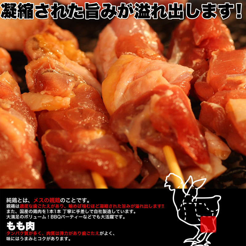 焼き鳥 セット 20串 家庭用 焼鳥 冷凍 やきとり 純鶏串 じゅんけい 親鶏 もも肉 国産 鶏肉 鳥肉 福井 名物 バーベキュー BBQ 美味しい 【納期E】【nk00000014】