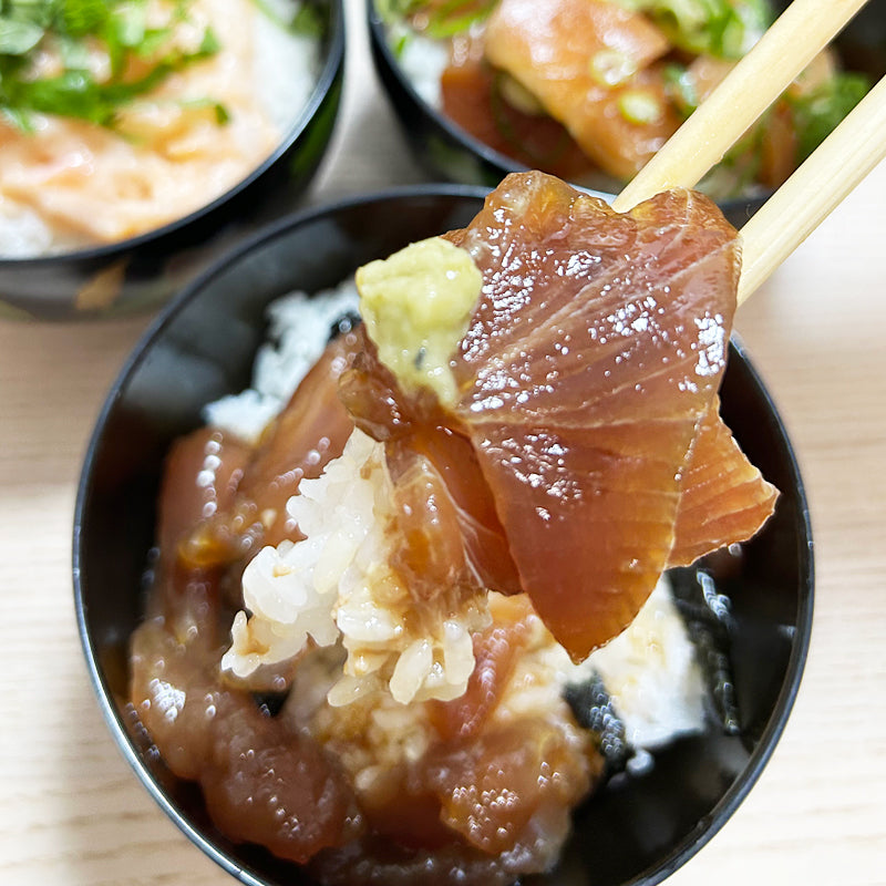 海鮮丼セット 海鮮丼の素 海鮮丼の具 冷凍 海鮮丼 海鮮丼のたれ 鉄火丼 マグロ丼 ネギトロ サーモンねぎとろ トロサーモン イカサーモン 【納期E】【nk00000039】