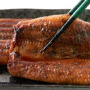 うなぎ 国産 蒲焼き ウナギ 国産うなぎ 鰻 うなぎの蒲焼き 2袋 鹿児島県産 タレ付き 大きい 特大 サイズ 日本ギフト大賞 鹿児島県賞受賞 【納期E】【nk00000120】