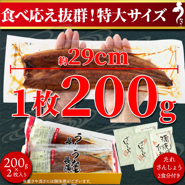 うなぎ 国産 蒲焼き ウナギ 国産うなぎ 鰻 うなぎの蒲焼き 2袋 鹿児島県産 タレ付き 大きい 特大 サイズ 日本ギフト大賞 鹿児島県賞受賞 【納期E】【nk00000120】