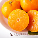 冷凍みかん 約 1kg みかん 蜜柑 ミカン 冷凍 冷凍フルーツ 愛媛県 西宇和産 3Sサイズ 甘い 大容量 小分け 3袋 皮付き 流水解凍 自然解凍 【納期E】【nk00000125】