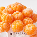 冷凍みかん 皮むき 500g 訳あり 大きさ不揃い 無選別 美味しい 蜜柑 ミカン 冷凍 冷凍フルーツ 愛媛県 西宇和産 甘い 皮なし 剥き 自然解凍 【納期E】【nk00000153】