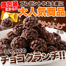 チョコクランチ 訳あり ミニ 小さい 一口サイズ ひとくち パフ チョコレート 大容量 保存料不使用 人工甘味料不使用 個包装 おやつ 洋菓子 【納期E】【sm00010415】