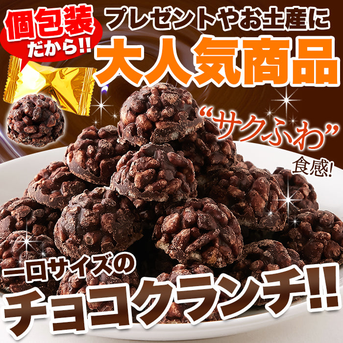 チョコクランチ 訳あり ミニ 小さい 一口サイズ ひとくち パフ チョコレート 大容量 保存料不使用 人工甘味料不使用 個包装 おやつ 洋菓子 【納期E】【sm00010415】