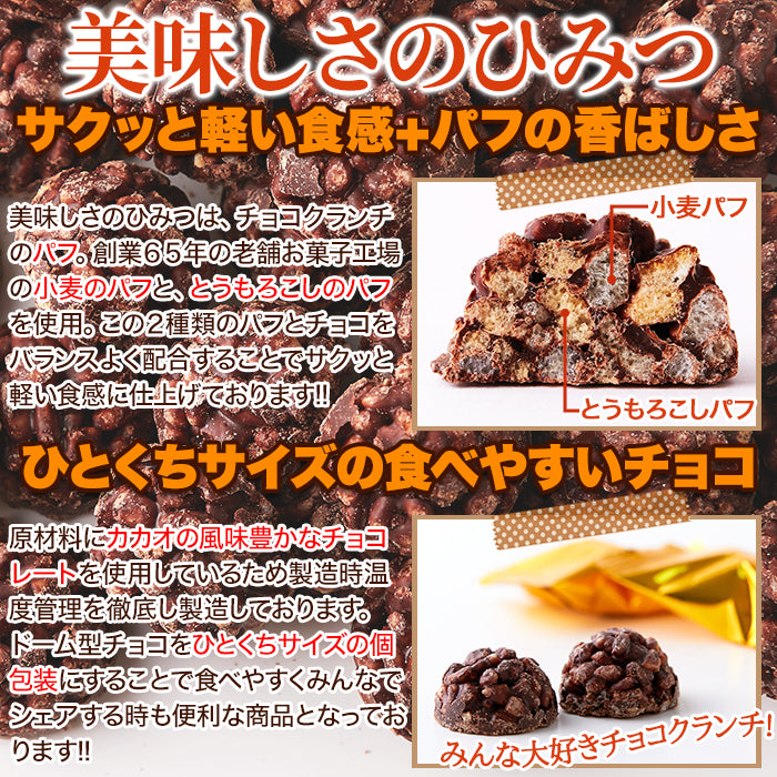 チョコクランチ 訳あり ミニ 小さい 一口サイズ ひとくち パフ チョコレート 大容量 保存料不使用 人工甘味料不使用 個包装 おやつ 洋菓子 【納期E】【sm00010415】