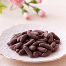 柿の種チョコ 柿の種 チョコレート コーティング ミルクチョコ 柿のタネ おやつ おつまみ うるち米 もち米 ピリ辛 たっぷり ポスト投函 【納期E】【sm00011205】