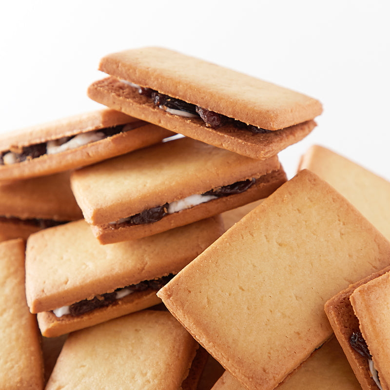 レーズンサンド 洋菓子 クッキー ビスケット レーズン 柔らかい ラムレーズン ラム酒 レーズンサンドクッキー 国産 大容量 国内製造 おやつ 【納期E】【sm00010022】