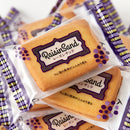 レーズンサンド 洋菓子 クッキー ビスケット レーズン 柔らかい ラムレーズン ラム酒 レーズンサンドクッキー 国産 大容量 国内製造 おやつ 【納期E】【sm00010022】