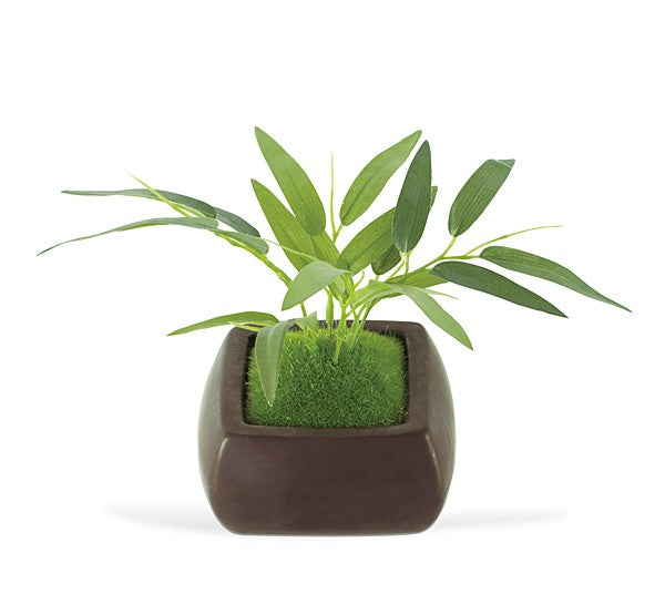 盆栽 苔 人工 観葉植物 インテリア リアル 消臭 抗菌 ミニ 小型 和 【納期A】【toh-288808】