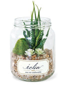 多肉植物 サボテン インテリア フェイクグリーン 観葉植物 CT触媒 消臭 防汚 抗菌 造木 小型 瓶 【納期A】【toh-289100】