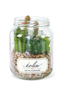 多肉植物 サボテン インテリア フェイクグリーン 観葉植物 CT触媒 消臭 防汚 抗菌 造木 小型 瓶 【納期A】【toh-289100】