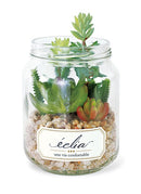 多肉植物 サボテン インテリア フェイクグリーン 観葉植物 CT触媒 消臭 防汚 抗菌 造木 小型 瓶 【納期A】【toh-289100】