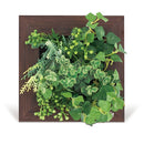 インテリアグリーン 観葉植物 フレーム 手入れ不要 CT触媒 消臭 抗菌 防汚 【納期A】【toh-289182】