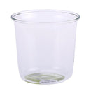 ティーグラス おしゃれ 小さめ 180ml 耐熱ガラス製 【納期A】【194850】