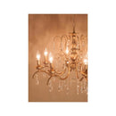 シャンデリア ゴールド 金色 照明 LED電球対応 8灯 煌びやか おしゃれ シーリング ライト 天井 ゴージャス 豪華 上品 重厚感 アンティーク 【納期C】【akz-fiona-p8d】