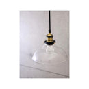 ペンダントランプ led 対応 ライト ビンテージ風 天井 吊下げ照明 おしゃれ モダン レトロ 雰囲気 インダストリアル シンプル インテリア 【納期C】【akz-p146d】