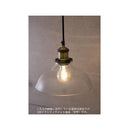 ペンダントランプ led 対応 ライト ビンテージ風 天井 吊下げ照明 おしゃれ モダン レトロ 雰囲気 インダストリアル シンプル インテリア 【納期C】【akz-p146d】