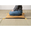 座布団 70×70cm おしゃれ 撥水 水 はじく 大判 大きい 大きめ 軽い 和風 和室 和柄 クッション お寺 寺院 旅館 民宿 レストラン 飲食店 和食店 宴会 座敷 法事 【納期B】【azm-bc-114】