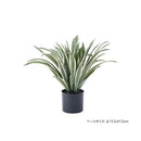 フェイクグリーン アガベ 観葉植物 インテリアグリーン リアル 鉢付き ベースつき おしゃれ 玄関 リビング オフィス 会社 カフェ レストラン 雑貨 装飾 【納期B】【azm-grn-13】