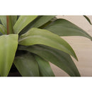 フェイクグリーン アガベ 観葉植物 インテリアグリーン リアル 鉢付き ベースつき おしゃれ 玄関 リビング オフィス 会社 カフェ レストラン 雑貨 装飾 【納期B】【azm-grn-14】