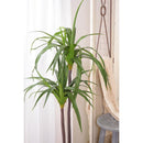 フェイクグリーン ドラセナ 観葉植物 インテリアグリーン リアル 鉢付き ベースつき おしゃれ 玄関 リビング オフィス 会社 カフェ レストラン 雑貨 装飾 【納期B】【azm-grn-15】