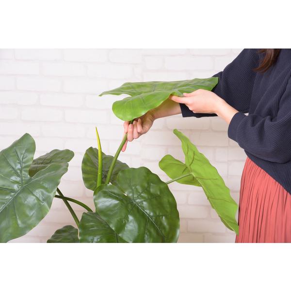 フェイクグリーン クワイズモ 観葉植物 インテリアグリーン リアル 鉢付き ベースつき おしゃれ 玄関 リビング オフィス 会社 カフェ レストラン 雑貨 装飾 【納期B】【azm-grn-16】